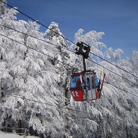 Pohorje Village Wellbeing Resort - Forest Apartments Videc 霍茨科波霍尔耶 外观 照片