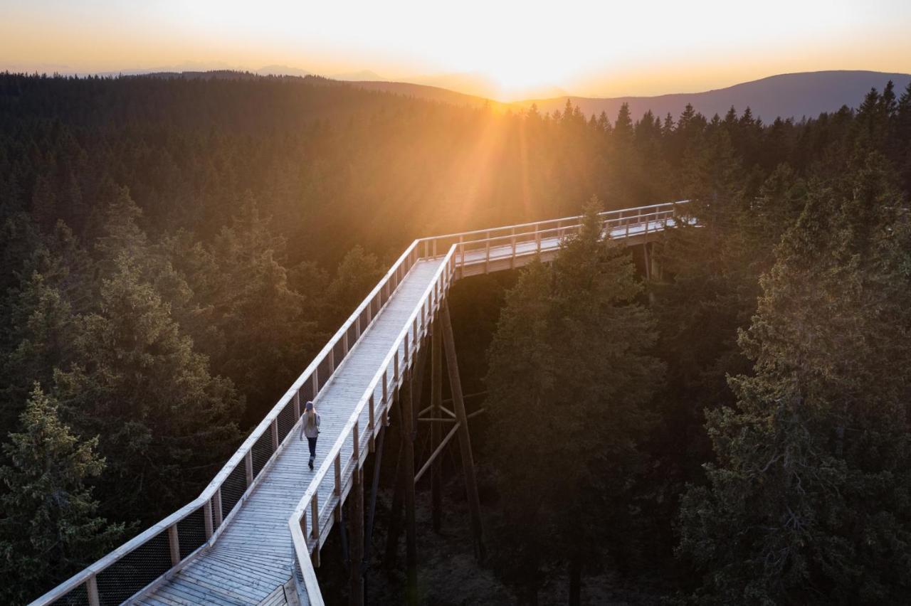 Pohorje Village Wellbeing Resort - Forest Apartments Videc 霍茨科波霍尔耶 外观 照片