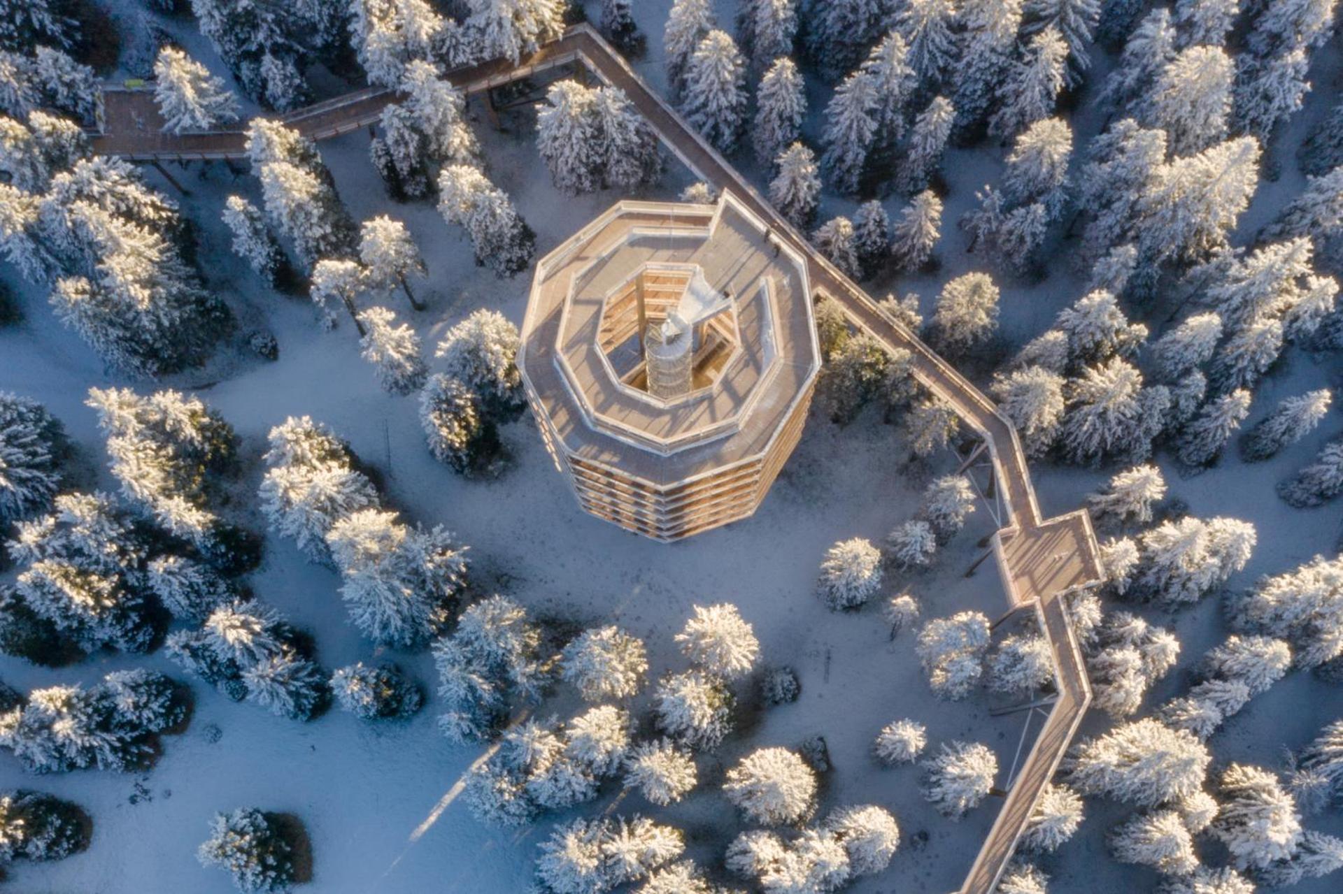 Pohorje Village Wellbeing Resort - Forest Apartments Videc 霍茨科波霍尔耶 外观 照片
